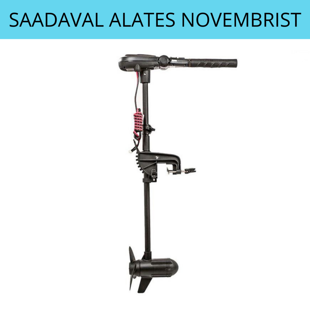 Haswing PROTRUAR 1.0 12V
