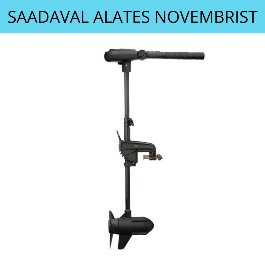 Haswing PROTRUAR 2.0 12V