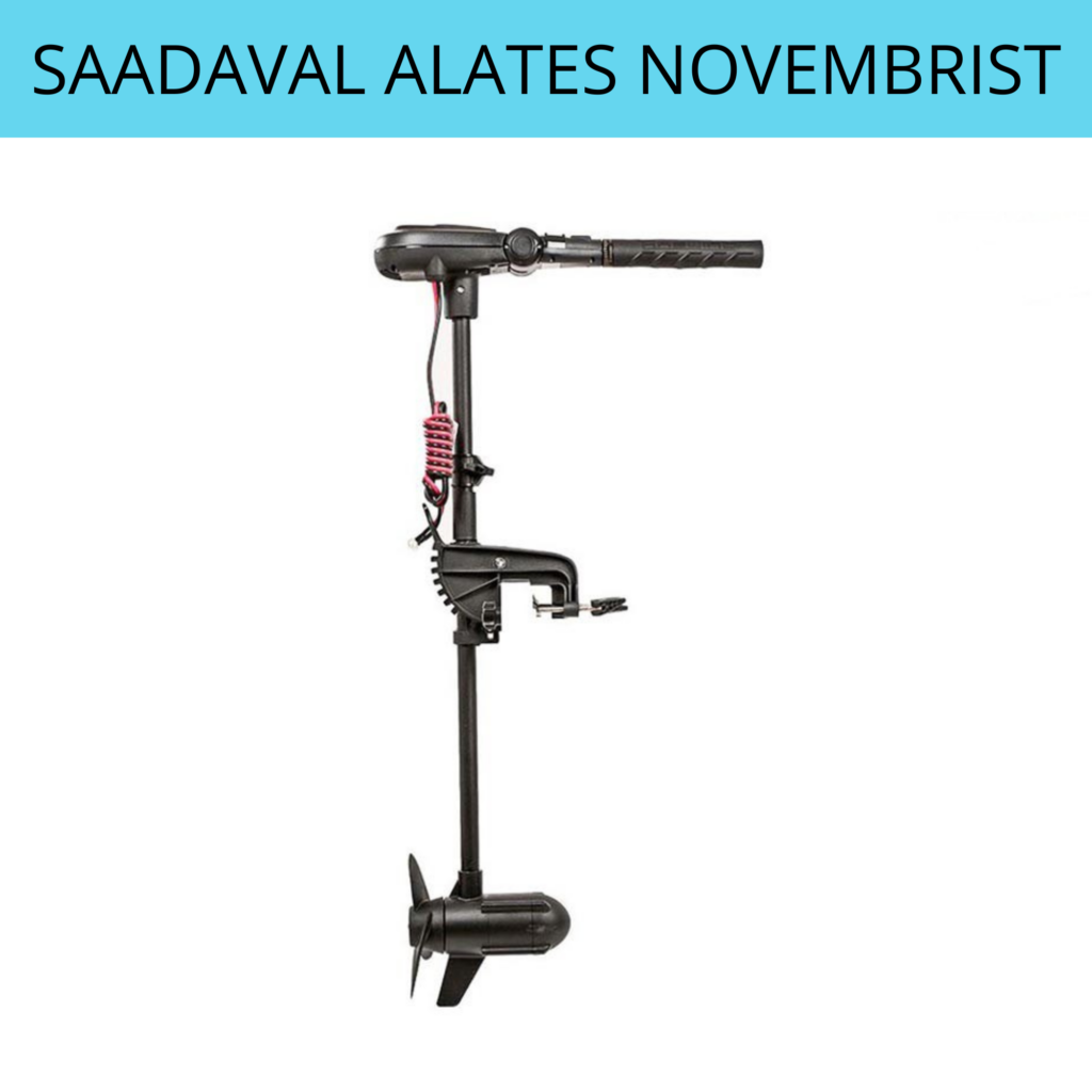Haswing PROTRUAR 2.0 24V