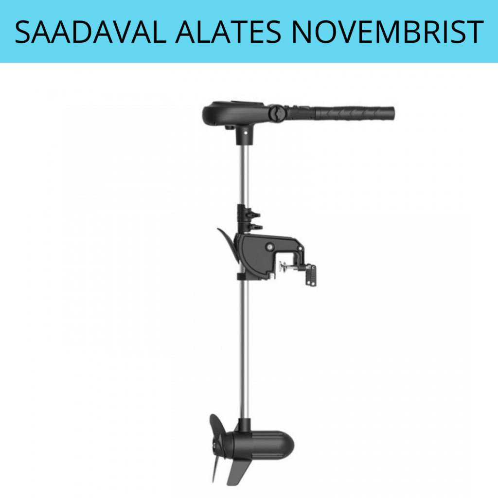 Haswing PROTRUAR 3.0 24V