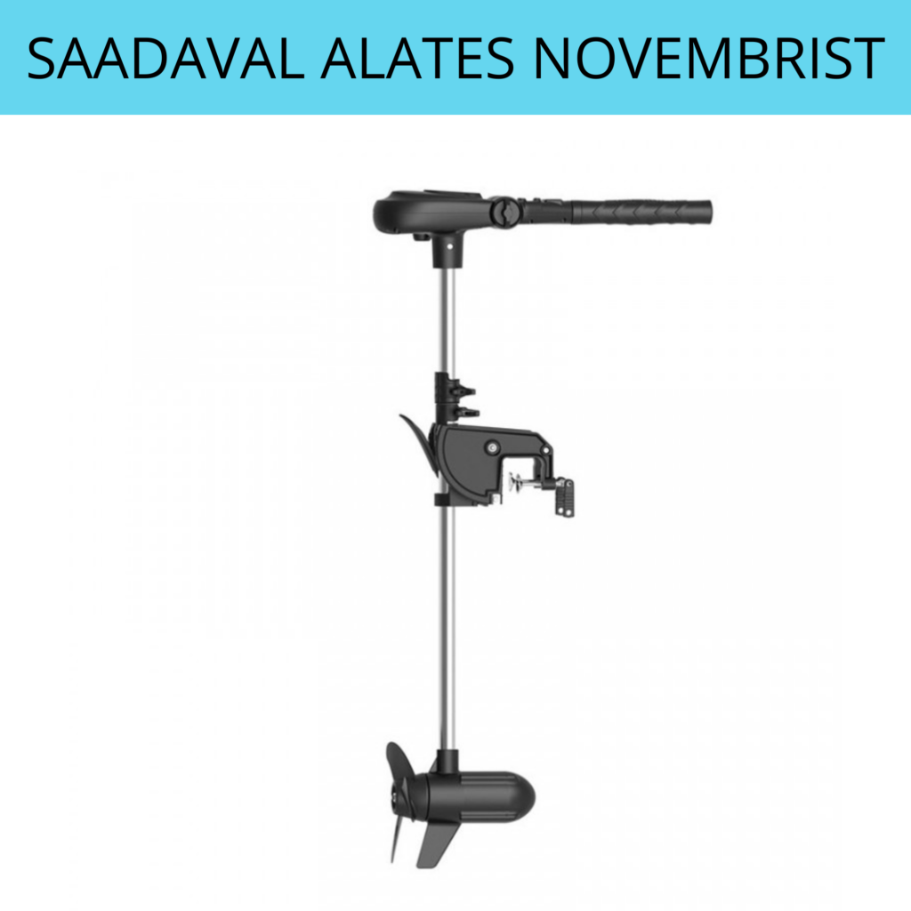Haswing PROTRUAR 5.0 24V